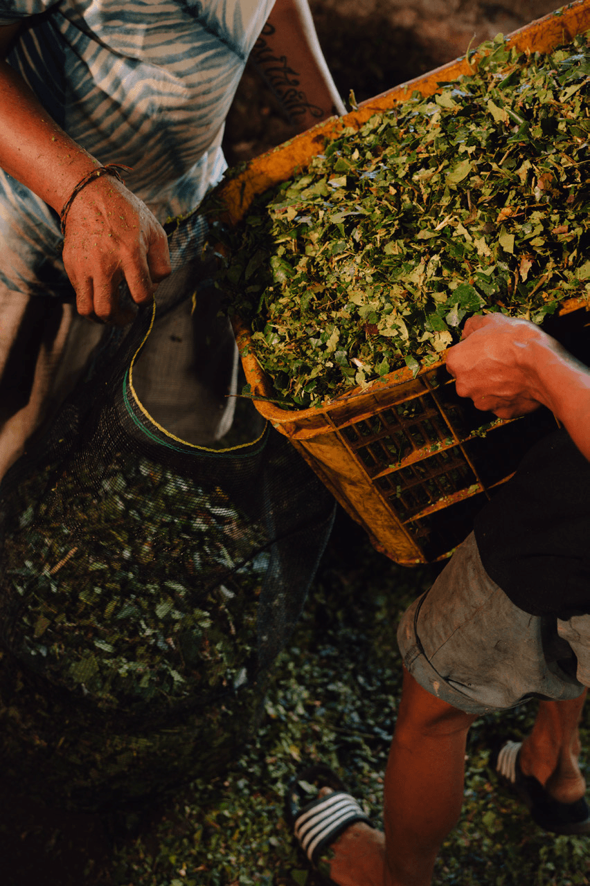 wasted product image