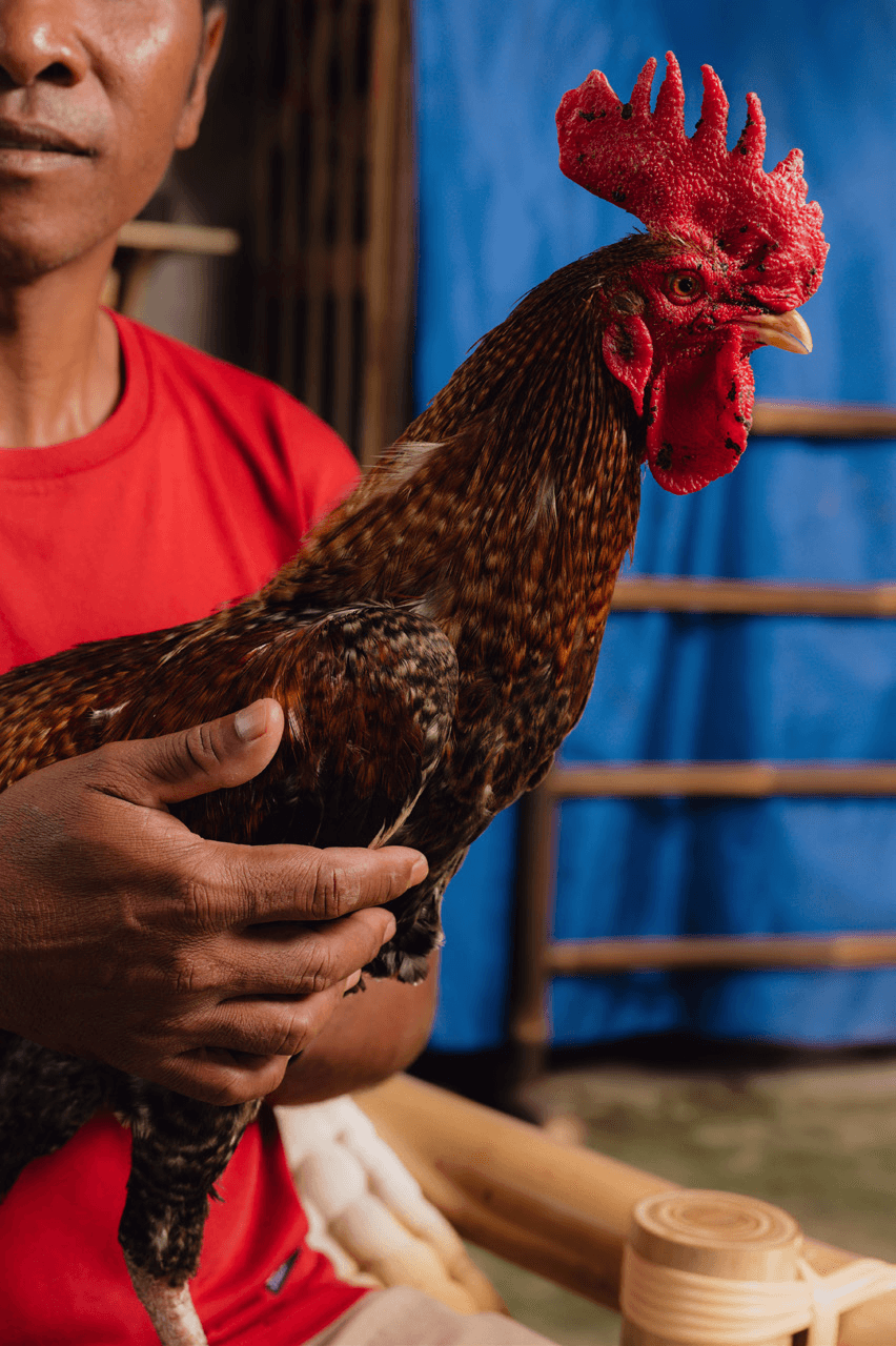 wasted product image